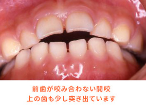 p13_2 (1).jpg